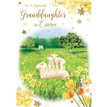 C50 GRANDDAUGHTER TRAD EASTER 12S