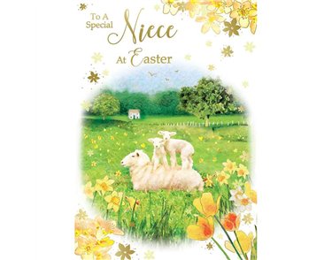 C50 NIECE TRAD EASTER 12S