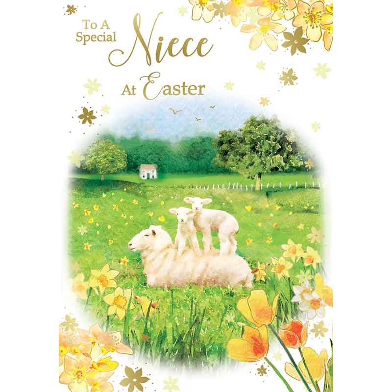 C50 NIECE TRAD EASTER 12S