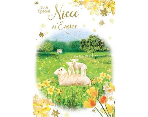 C50 NIECE TRAD EASTER 12S