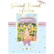C50 SPECIAL FRIEND EASTER 12S