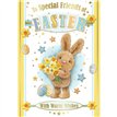 C50 SPECIAL FRIENDS CUTE EASTER 6S