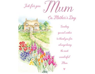 C75 MUM HARMONY MOTHERS DAY 6S