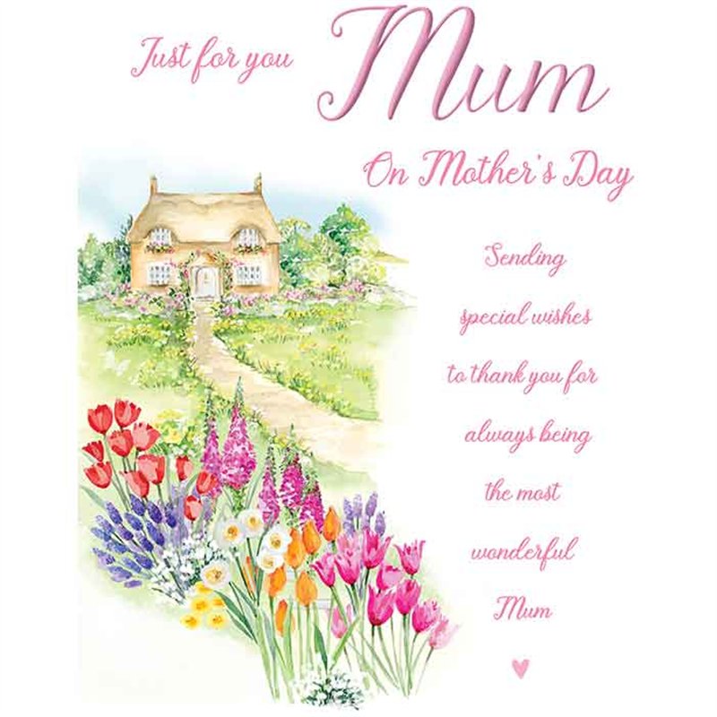 C75 MUM HARMONY MOTHERS DAY 6S