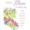 C75 MUM HARMONY MOTHERS DAY 6S