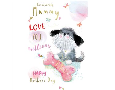 C50 MUMMY KINGFISHER MOTHERS DAY 6S