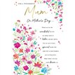 C75 OPEN KINGFISHER MOTHERS DAY 6S