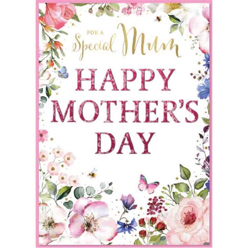 C90 FEMALE MUM SIMON ELVIN MOTHERS DAY 6S