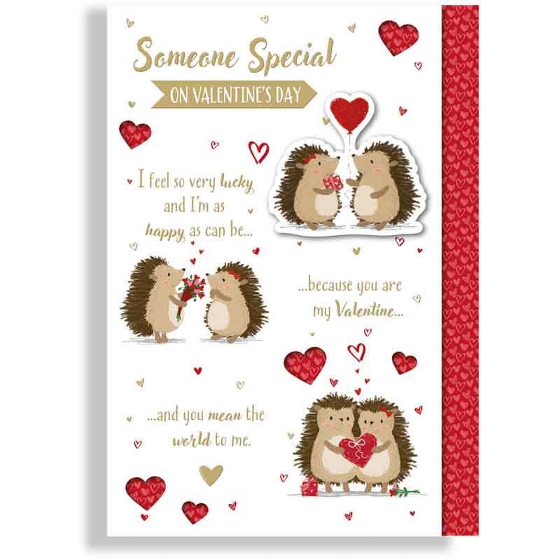 C90 SOMEONE SPECIAL PRELUDE VALENTINES DAY 6S