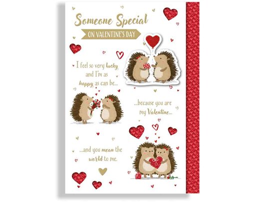 C90 SOMEONE SPECIAL PRELUDE VALENTINES DAY 6S