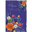 C75-I TRAD/MODERN FEMALE MUM MOTHER'S DAY 6S