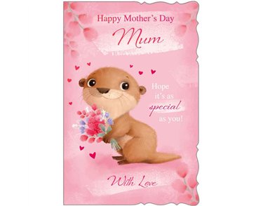 C75-I CUTE FEMALE MUM MOTHER'S DAY 6S