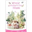C75-I CUTE FEMALE MUM MOTHER'S DAY 6S