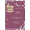 C75-I CUTE FEMALE MUM MOTHER'S DAY 6S