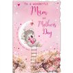 C75-I CUTE FEMALE MUM MOTHER'S DAY 6S