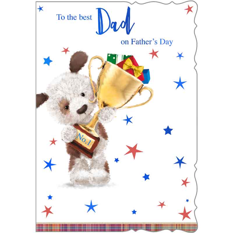 C50 CUTE MALE DAD FATHER'S DAY 6S