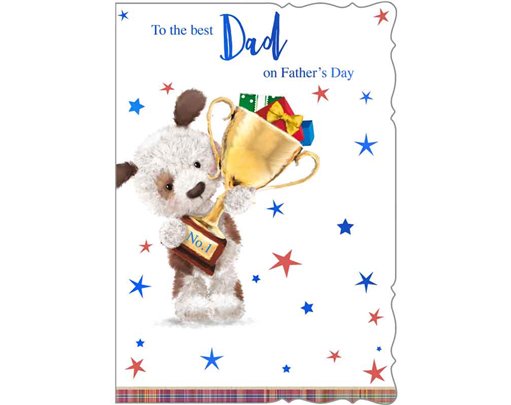C50 CUTE MALE DAD FATHER'S DAY 6S