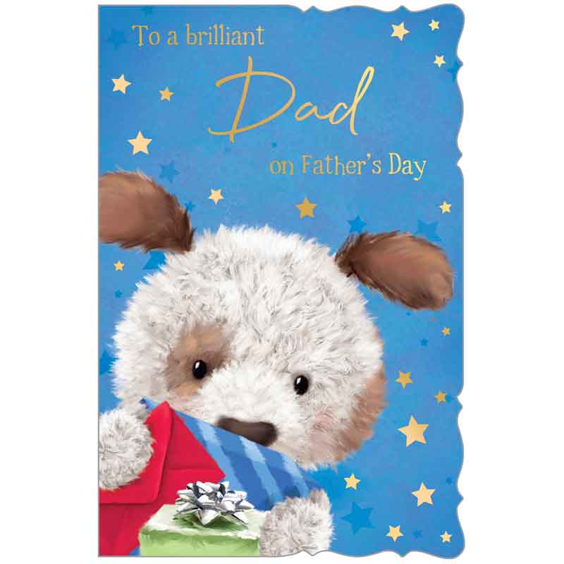 C75-I CUTE MALE DAD FATHER'S DAY 6S