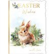 C50 CUTE FEMALE OPEN EASTER 6S