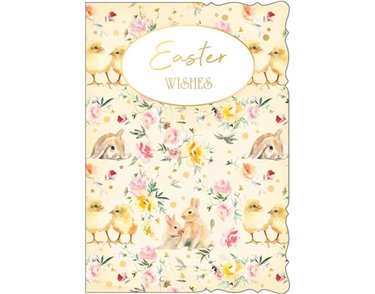 C50 CUTE MALE OPEN EASTER 6S