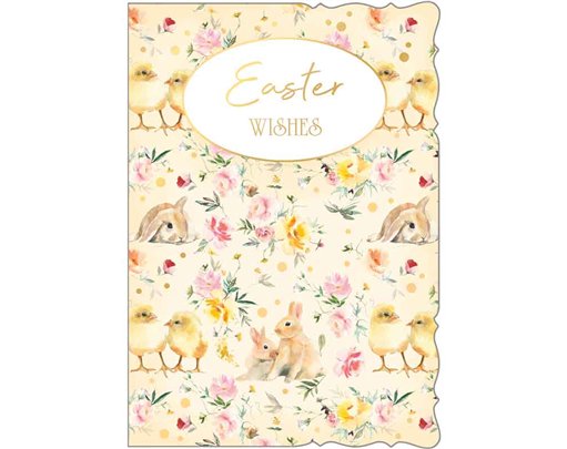 C50 CUTE MALE OPEN EASTER 6S