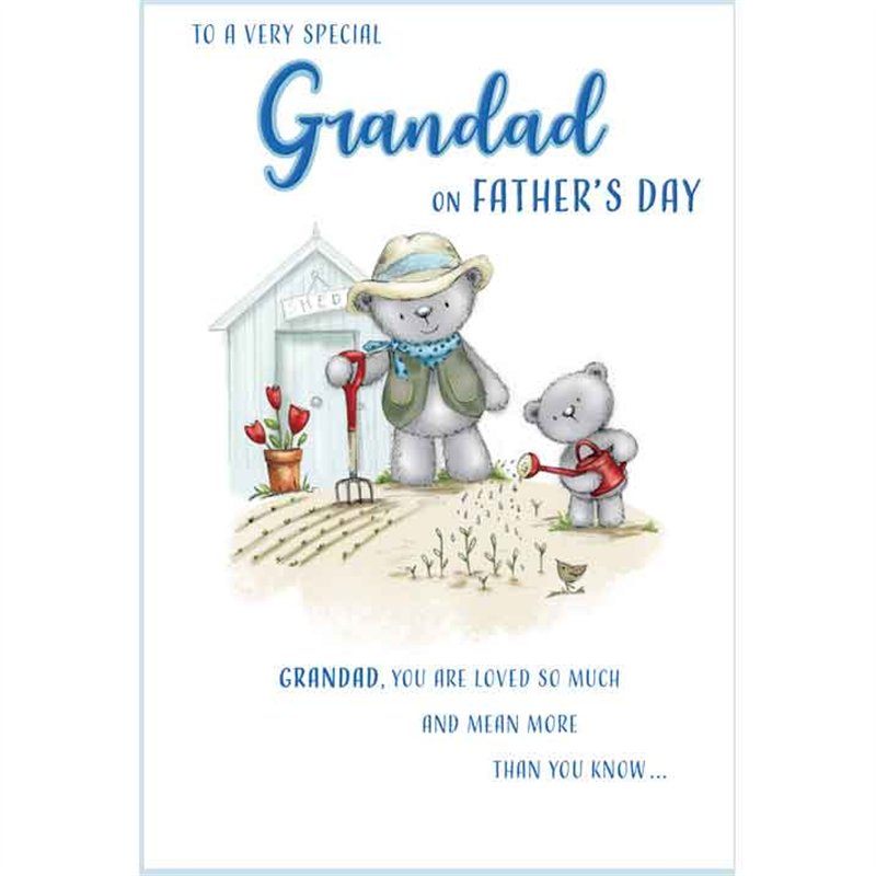 C75 GRANDAD FATHERS DAY DELIGHT 6S