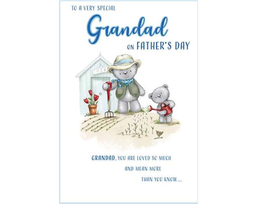 C75 GRANDAD FATHERS DAY DELIGHT 6S
