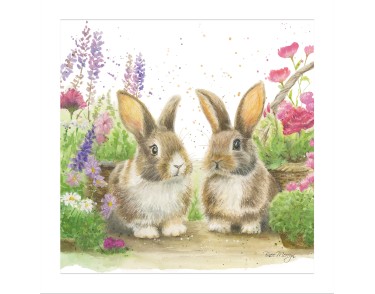 Bree Cards