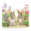Bree Cards Bree Cards