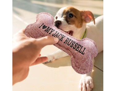 Squeaky Dog Toy