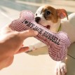Squeaky Dog Toy