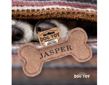 Squeaky Dog Toy
