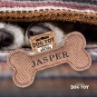 Squeaky Dog Toy