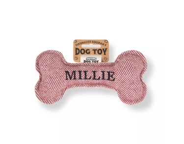 Squeaky Dog Toy