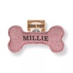 Squeaky Dog Toy